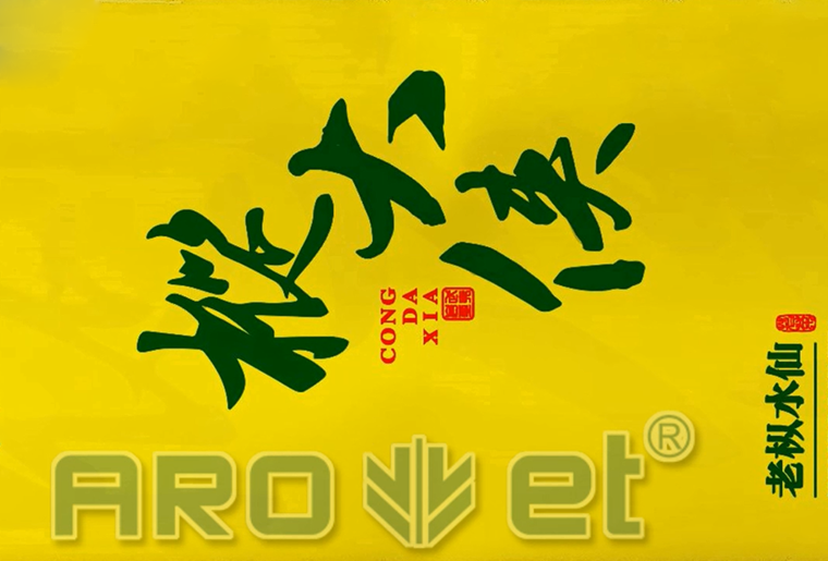 3118云顶集团茶叶包装袋喷印装备在客户现场喷印视频