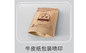 HS-300单张数码喷墨印刷装备手艺参数Technical Parameters